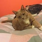 Freddie Perry - @freddie.perry0510 - Instagram