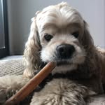 Freddie Phillips - @freddiephillips32 - Instagram