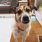Freddie Scholey-Poole - @fabfangfreddie - Instagram