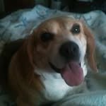 Freddie Ramey - @freddie.ramey - Instagram