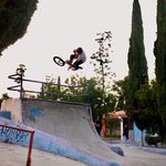 Bike Rider Freddie - @bikeriderfreddie - Instagram