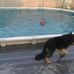 Freddy Riggs - Facebook