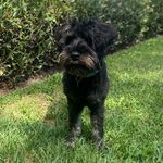 Freddie Rogers🐾💕 - @little.freddie.rogers - Instagram