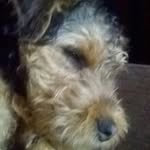 Freddie Rutherford - @freddie.rutherford - Instagram
