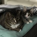 Ryder And Freddie - @ryderandfreddie - Instagram