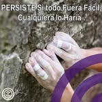 Freddie Salinas - @freddie.salinas.92 - Instagram