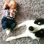 Samuel & Freddie - @samuel.and.freddie - Instagram