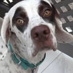Freddiesapplepie - @eyesonmypiefilling - Instagram