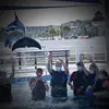 Freddie J Self - @freddie.j.self - TikTok