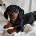 fredster - @freddieshortlegs - Instagram
