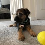 Freddie Silver - @freddietheborder - Instagram