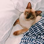 Freddie Speight - @freddie.life - Instagram