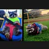 Freddie'sWorld_BabyBodey - @freddiesworld_babybodey - TikTok