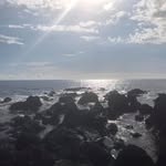 Freddy Calkins - @1fredsprinkler2024 - Instagram