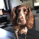 Freddie Stanley - @freddiestar28 - Instagram