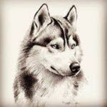 Stanley Freddie - @stanley.freddie_ - Instagram