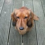 Freddie Crichton-Stuart - @freddiecs100 - Instagram
