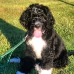 Freddie Sullivan Barker - @a_dood_named_freddie - Instagram