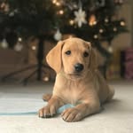 @freddiesullivanxx - Instagram