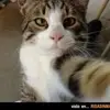 Freddy tate - @freddy.tate - TikTok