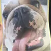 freddie_thake - @freddie_thake - TikTok