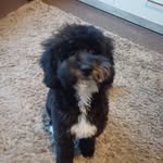 Freddie Ware-foster - @fredd06_ - Instagram