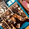 Freddie Webber - @freddiewebberr - TikTok