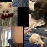 @freddie_winter17 - Instagram