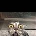 Freddie Winterburn - Facebook