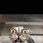 Freddie Winterburn - @freddie.winterburn.71 - Instagram