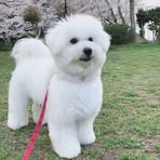 Freddie Yang - Facebook