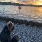 Freddie - @freddie_yorkshire - Instagram