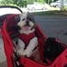 Freddie York Lingerfelt - Facebook