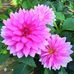 Freddy Allison - Facebook