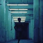 Freddy Aranda - @arandafredd - Instagram