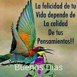 freddy arango - @freddyarango3 - Instagram