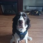 Freddy Archer - @freddyarcher274 - Instagram