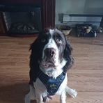 Freddy Archer - Facebook