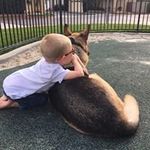 Fred Armstrong - @villagepope2 - Instagram