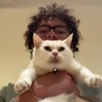 Freddy Armstrong - @fredd_ar_ - Instagram