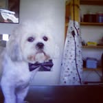 freddy - @freddyashleyxox - Instagram