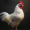 Freddy_2_Ballz - @freddy2ballz - TikTok