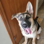 Freddy Barron - @totally_not_freddy06 - Instagram