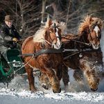 Freddy Bauer - @vennbauer - Instagram