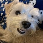 Freddy - @freddy_bean_ - Instagram