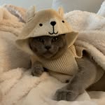 Freddy - @freddybeanfluff - Instagram