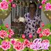 Freddy Becerra - Facebook