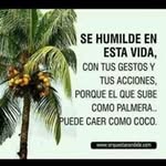 Freddy Bernal Velasquez - @freddybernalvelasquez - Instagram