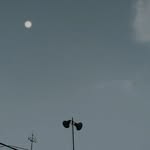 don't bunt - @freddy._.birdy - Instagram