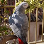 Freddy_Birds_Home - @freddy_birds_home - Instagram